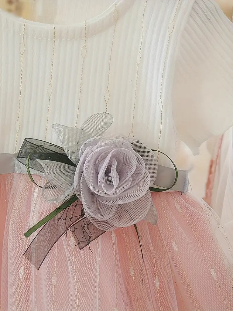 Baby Delicate Soft Pink And White Mesh Dress