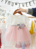 Baby Delicate Soft Pink And White Mesh Dress