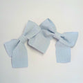 Baby 2 Piece Hair Clips Blue