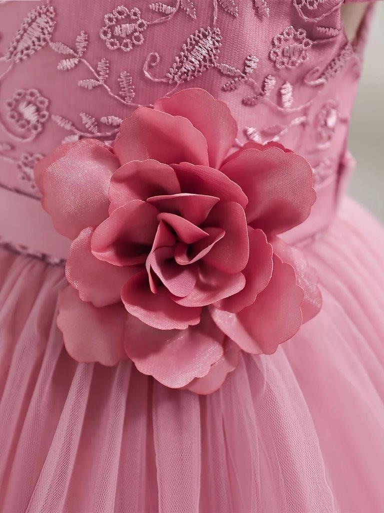 Baby Embroidery Puffy Flower Princess Dress
