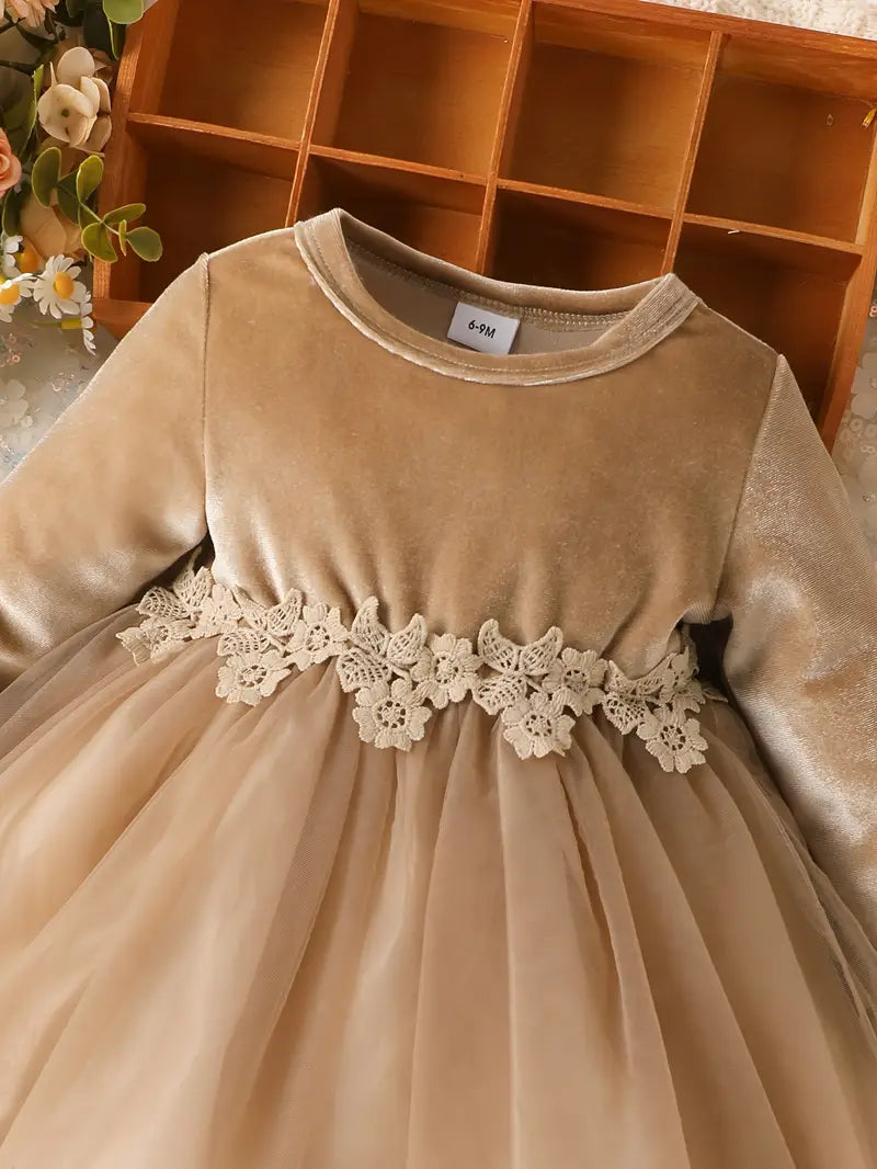 Baby Front Flower Pattern Velvet Mesh Dress