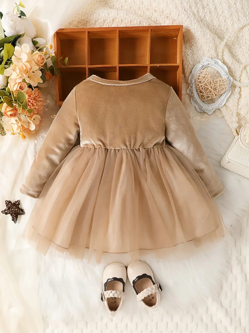 Baby Front Flower Pattern Velvet Mesh Dress