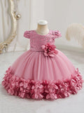 Baby Embroidery Puffy Flower Princess Dress